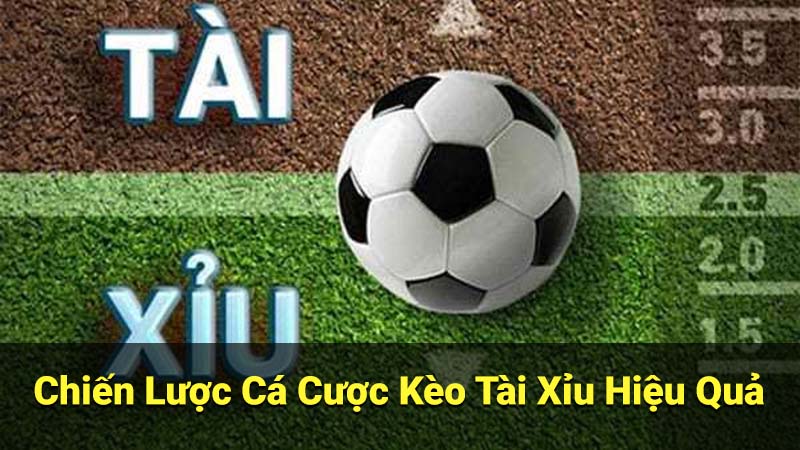 Kèo Tài Xỉu: Các loại kèo phổ biến & cách xác định Tài Xỉu 3 Chiến Lược Cá Cược Kèo Tài Xỉu Hiệu Quả
