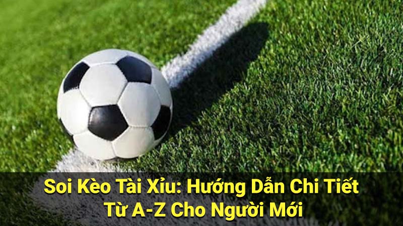 Soi Kèo Tài Xỉu: Hướng Dẫn Chi Tiết Từ A-Z Cho Người Mới 1 soi keo tai